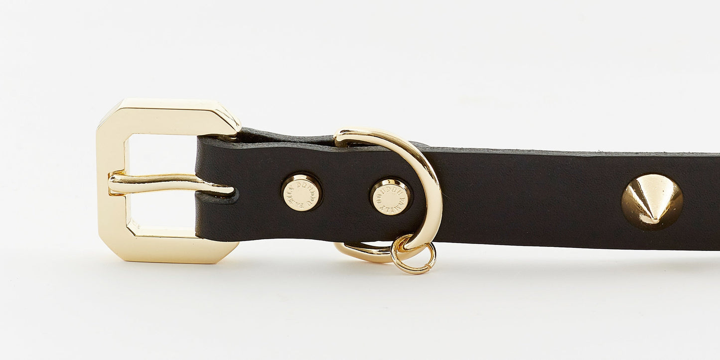 GOLDEN SPIKE BLACK COLLAR