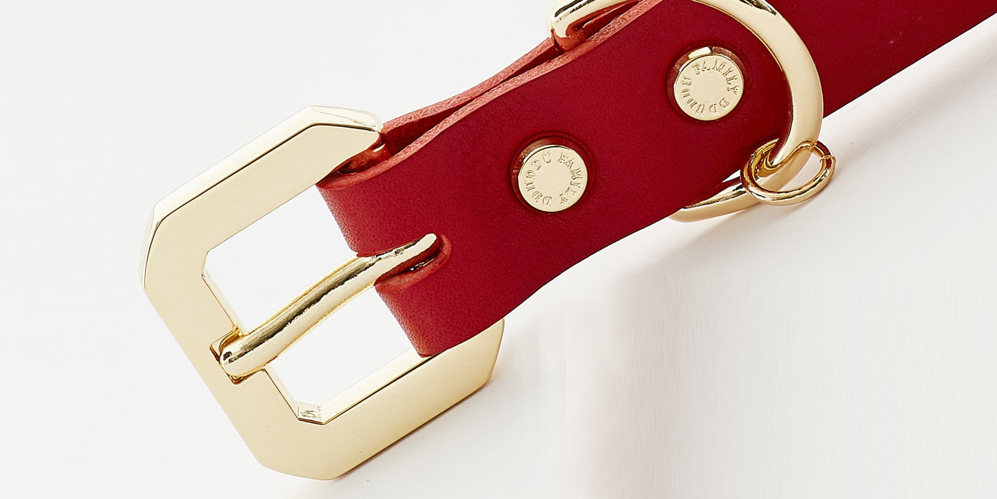 GOLDEN SPIKE RED COLLAR