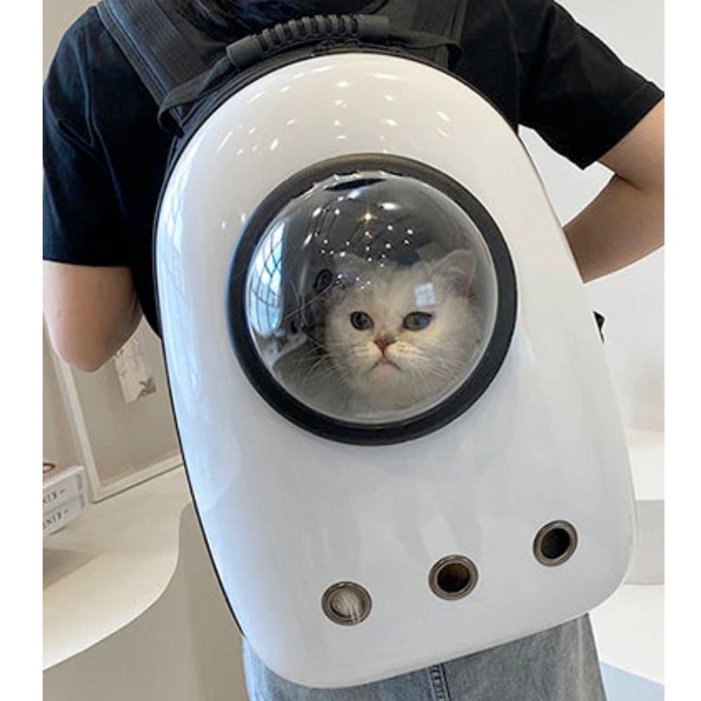 PET HARDSHELL TRAVELING BACKPACK