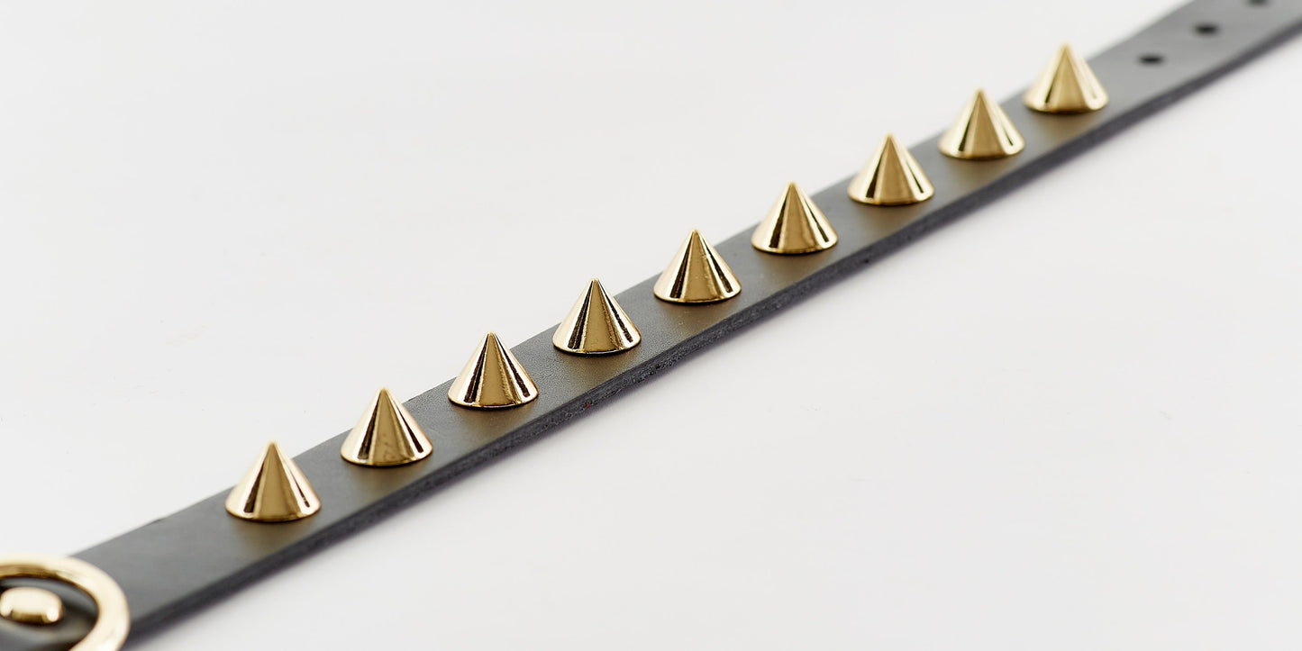 GOLDEN SPIKE BLACK COLLAR