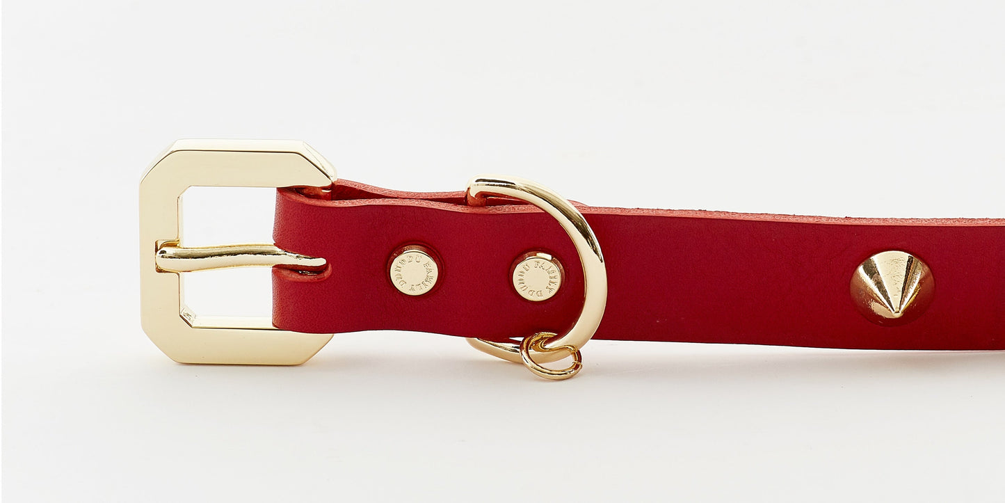 GOLDEN SPIKE RED COLLAR