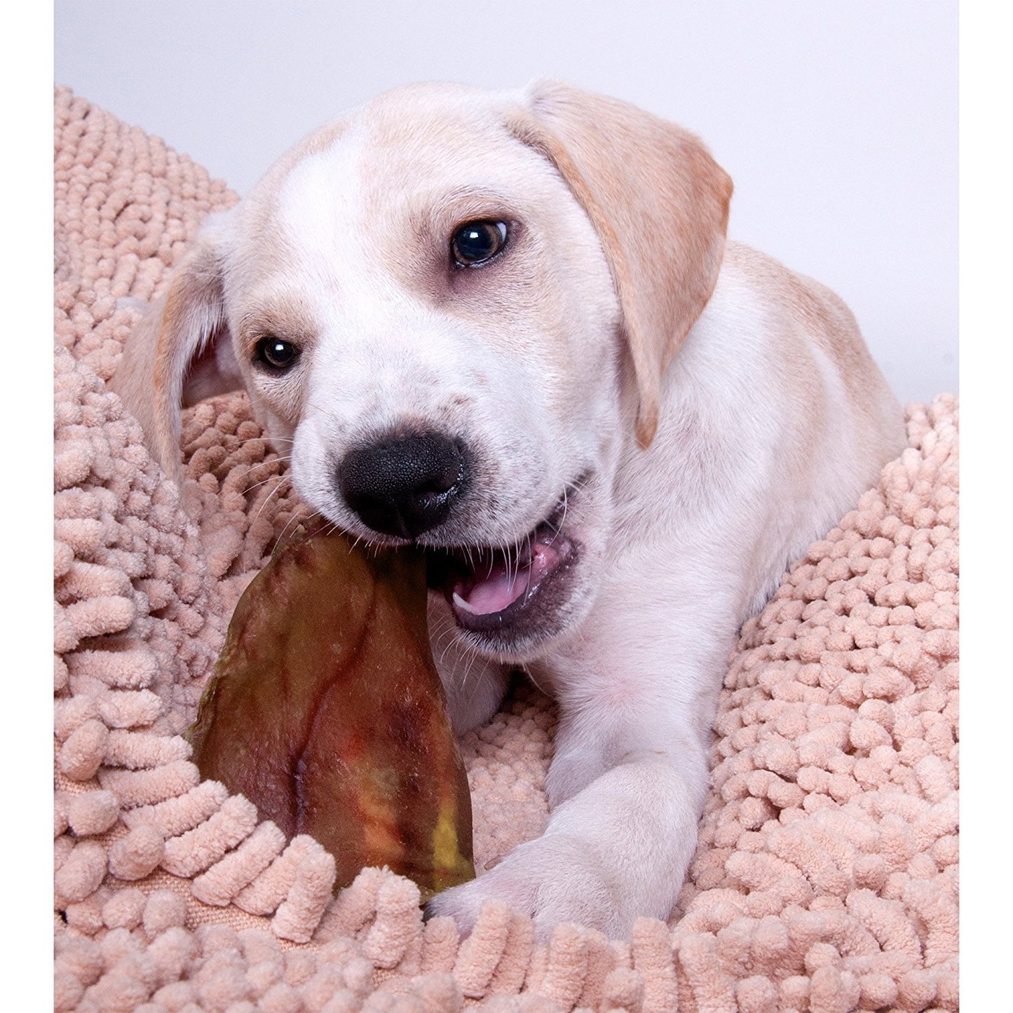 PIG EARS FOR DOGS