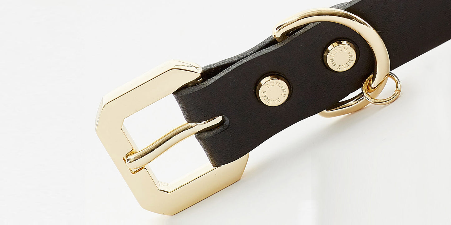 GOLDEN SPIKE BLACK COLLAR