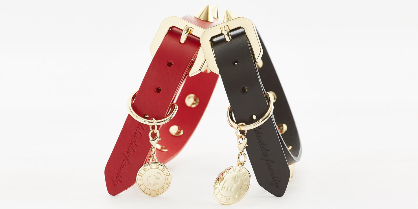 GOLDEN SPIKE BLACK COLLAR
