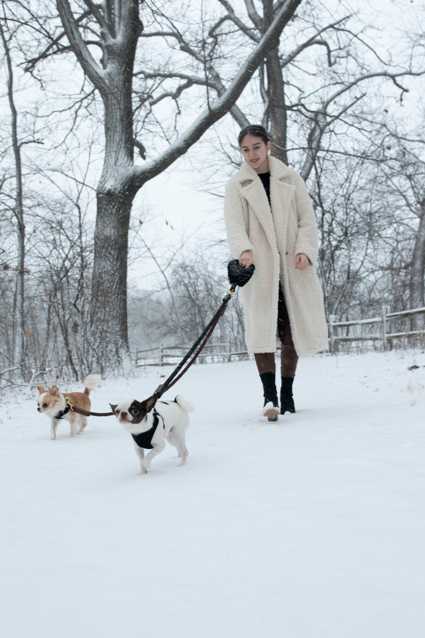 BUNDLE SHEARLING FUR GRIP + ROPE LEASH FOR DOGS