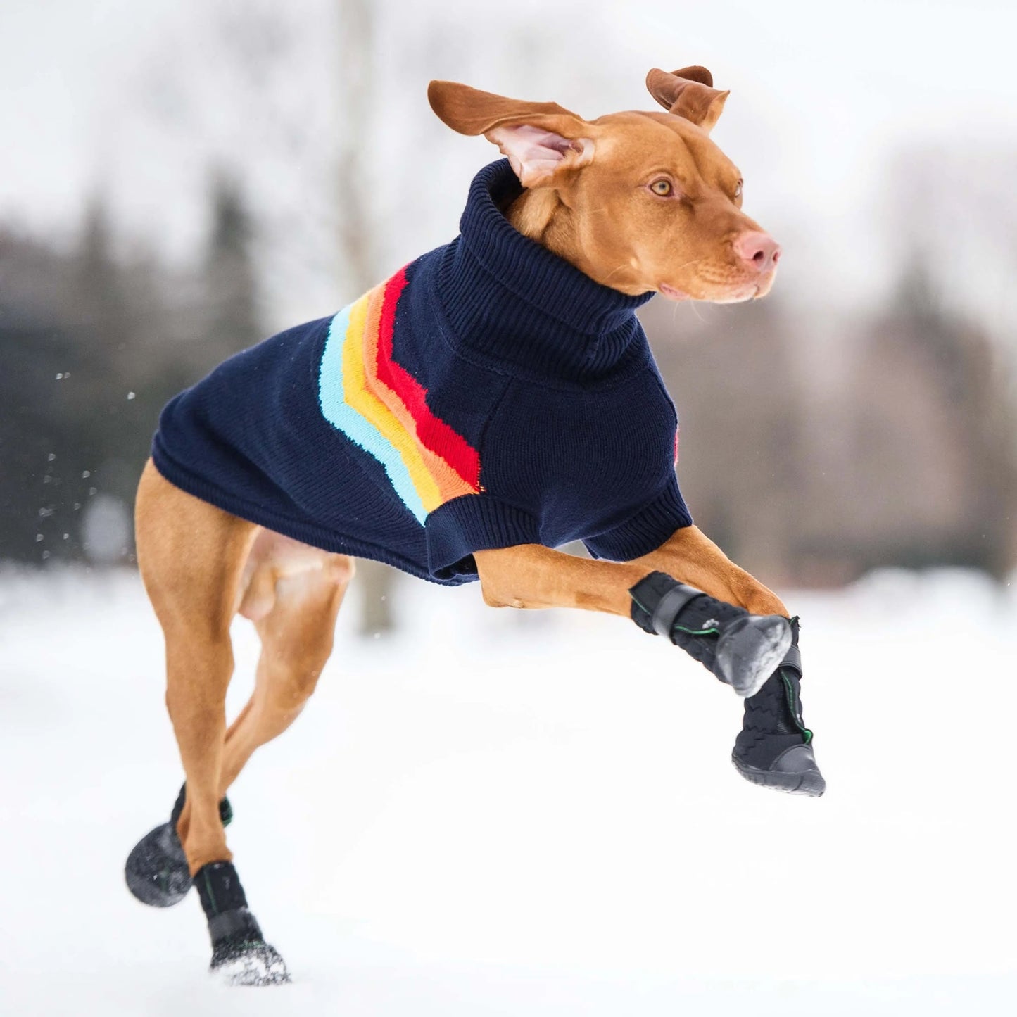 ELASTO-FIT DOG BOOTS - BLACK