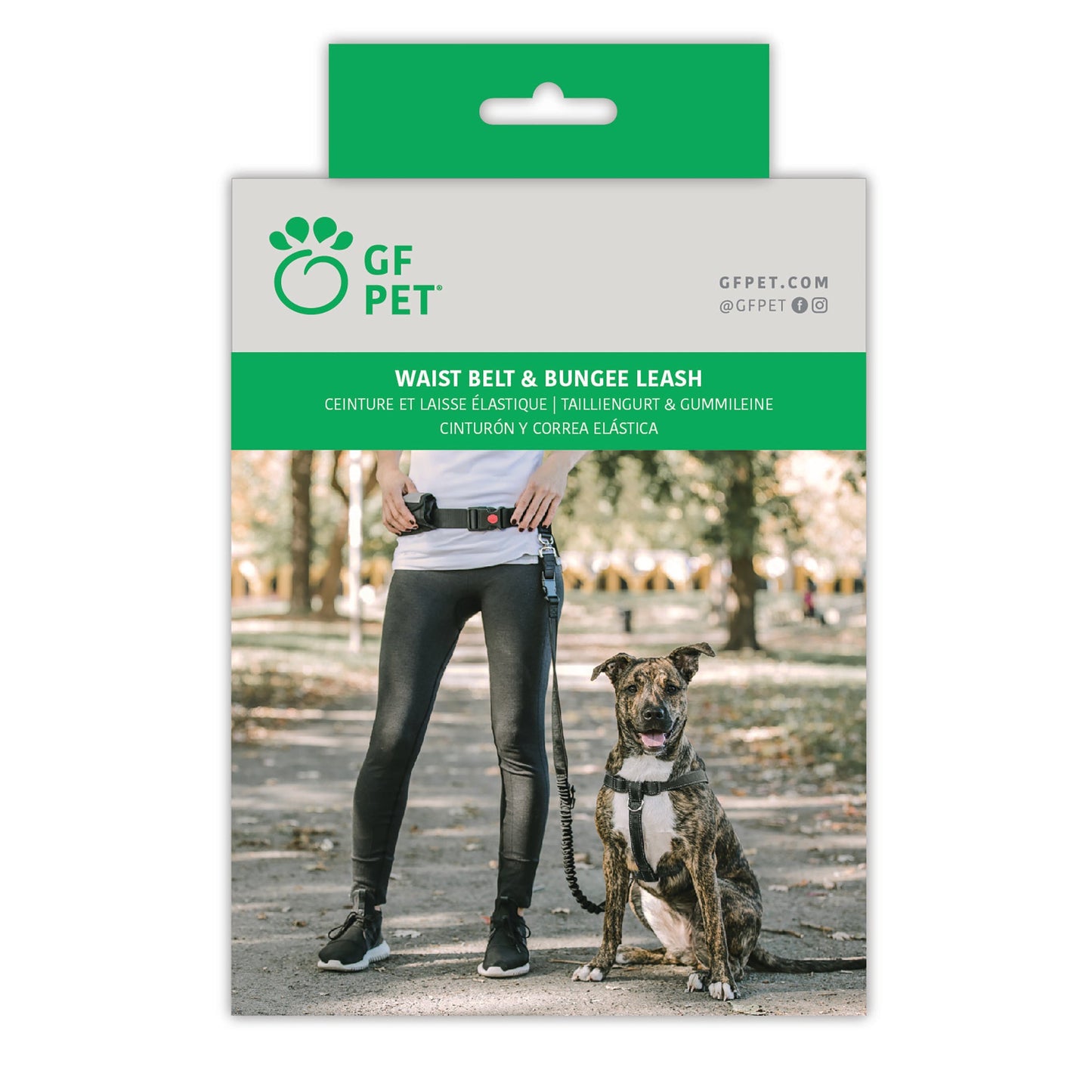WAIST BELT & BUNGEE LEASH