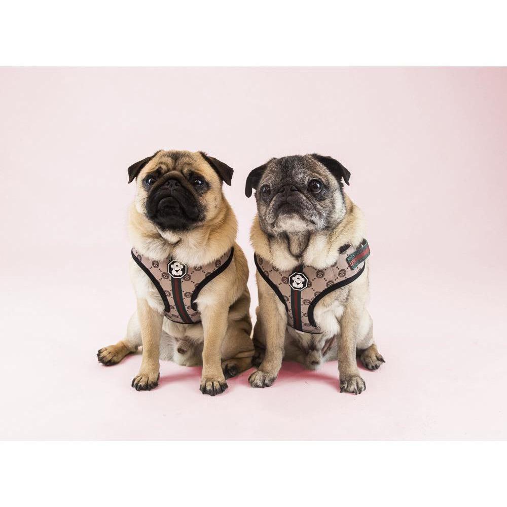 G-PATTERN | ADJUSTABLE MESH HARNESS