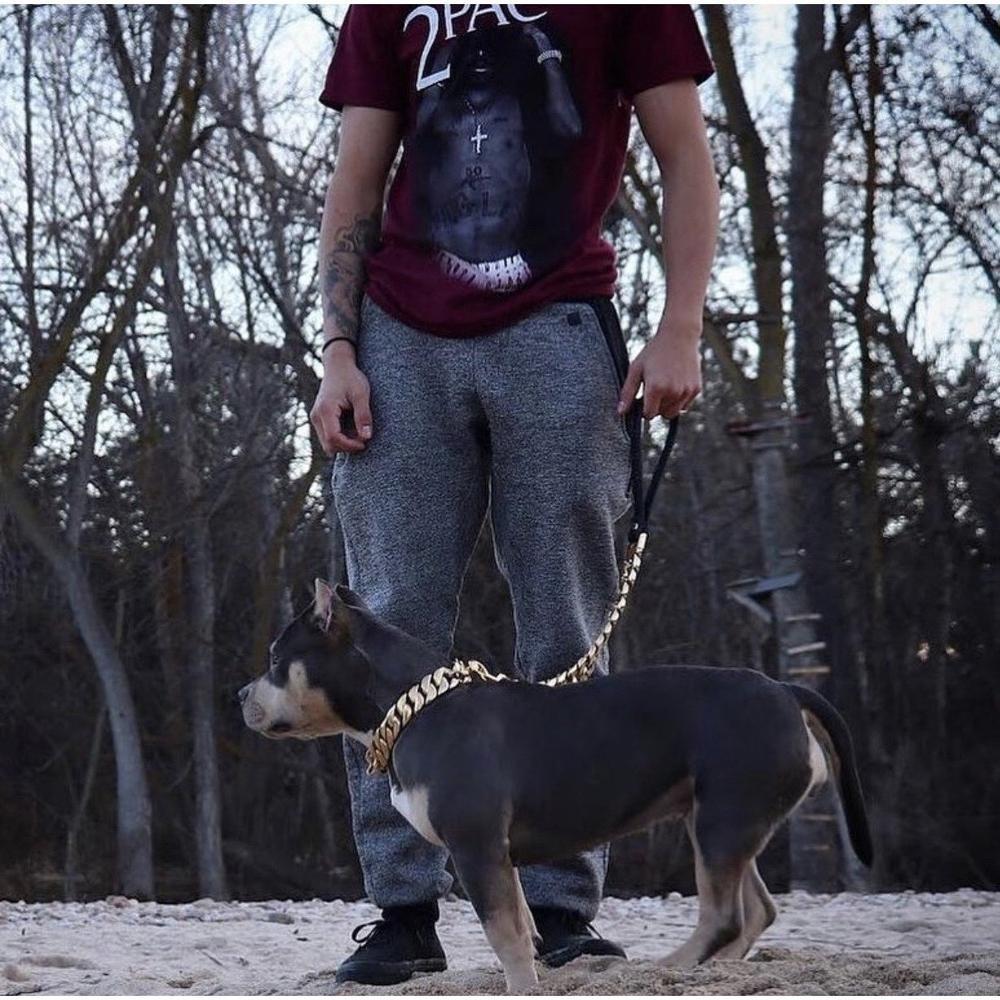 KILO CUBAN LINK | LEASH