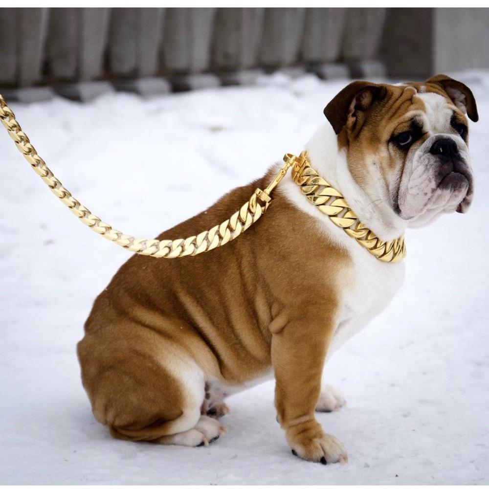 KILO CUBAN LINK | LEASH