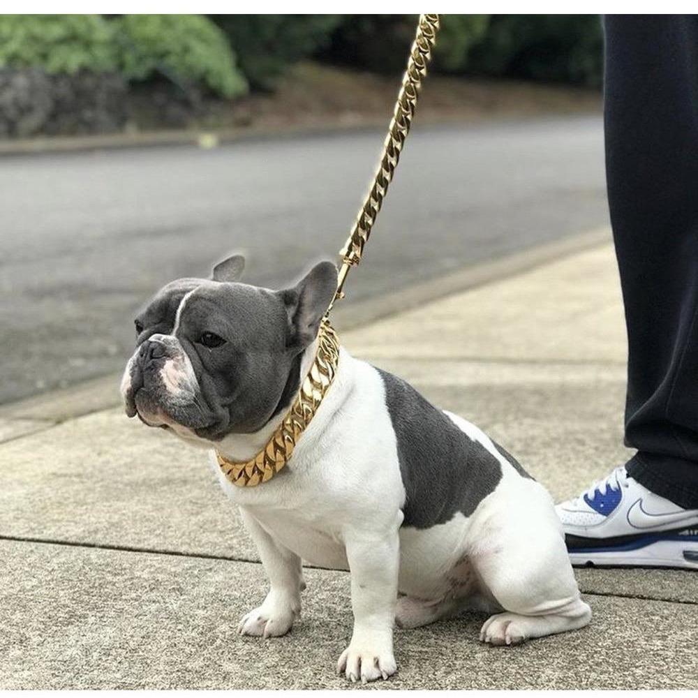 KILO CUBAN LINK | LEASH
