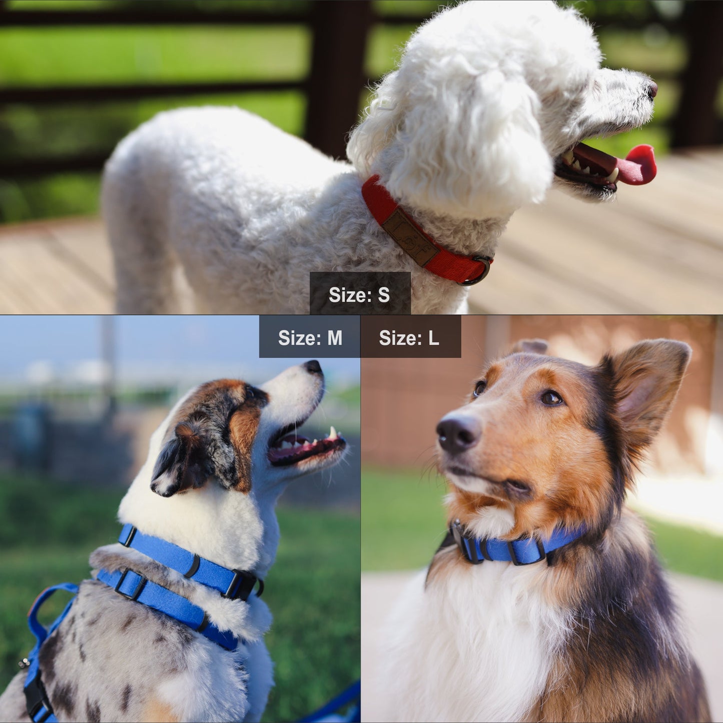 LOF DOG COLLAR