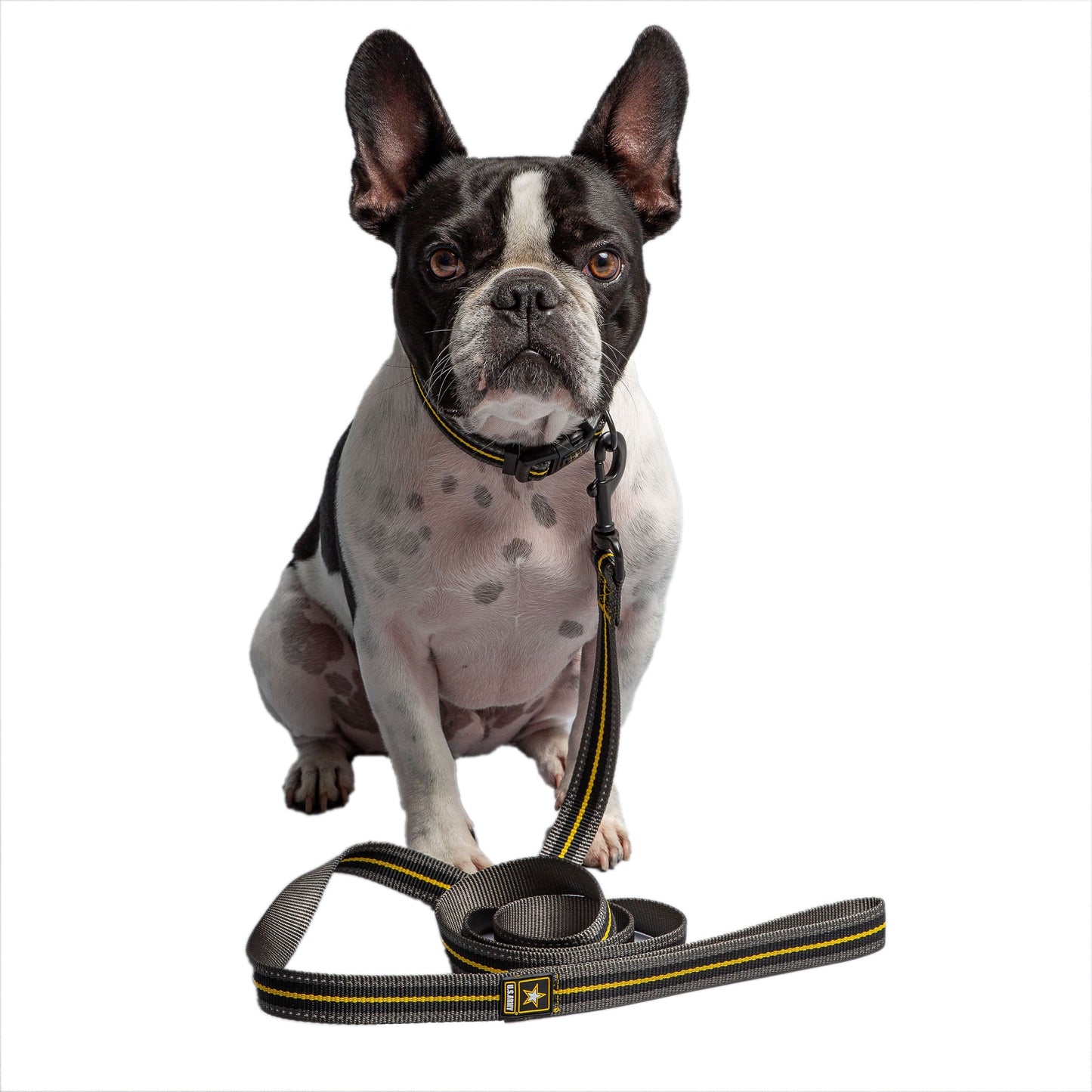 US ARMY DOG LEASH - DARK CAMO