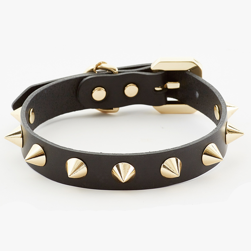 GOLDEN SPIKE BLACK COLLAR