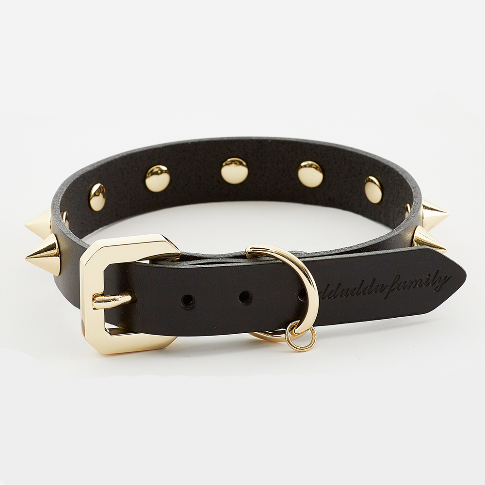 GOLDEN SPIKE BLACK COLLAR
