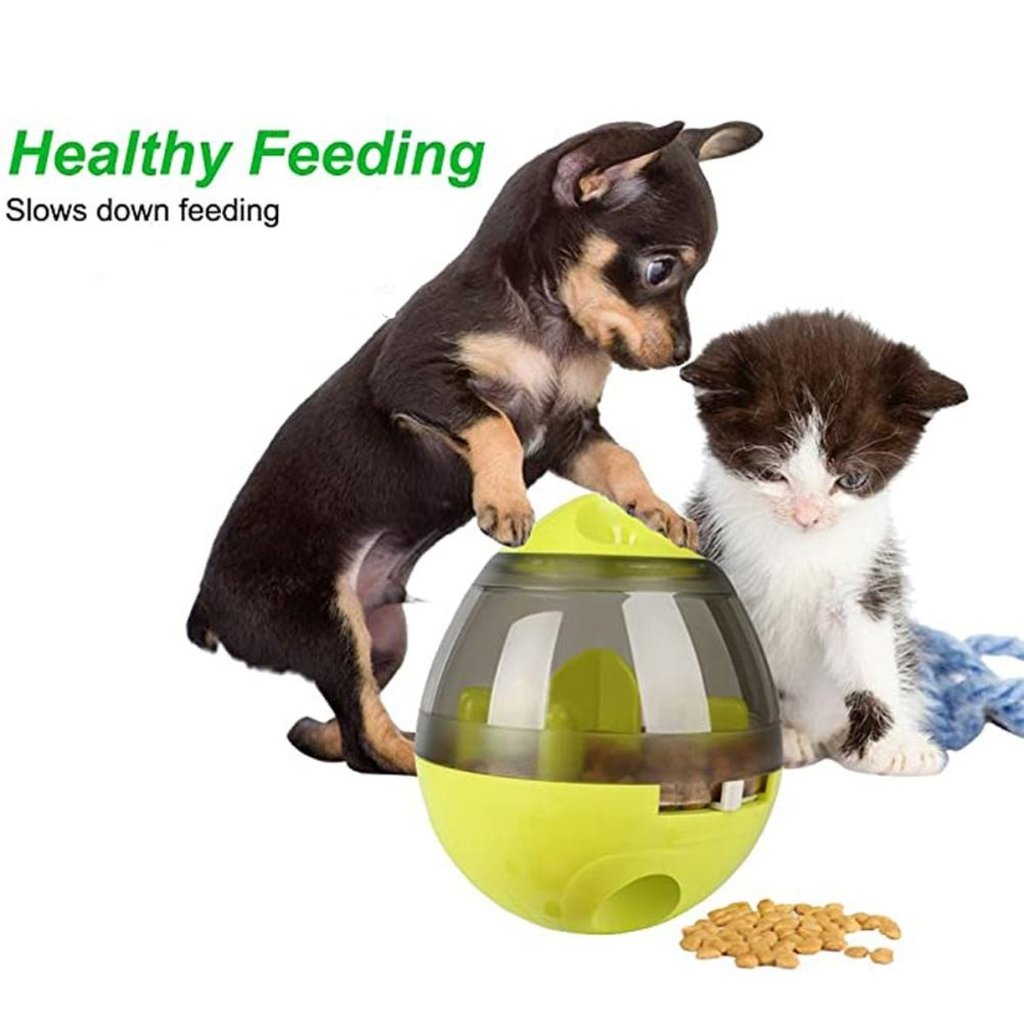 DOGS FOOD DISPENSER TUMBLER