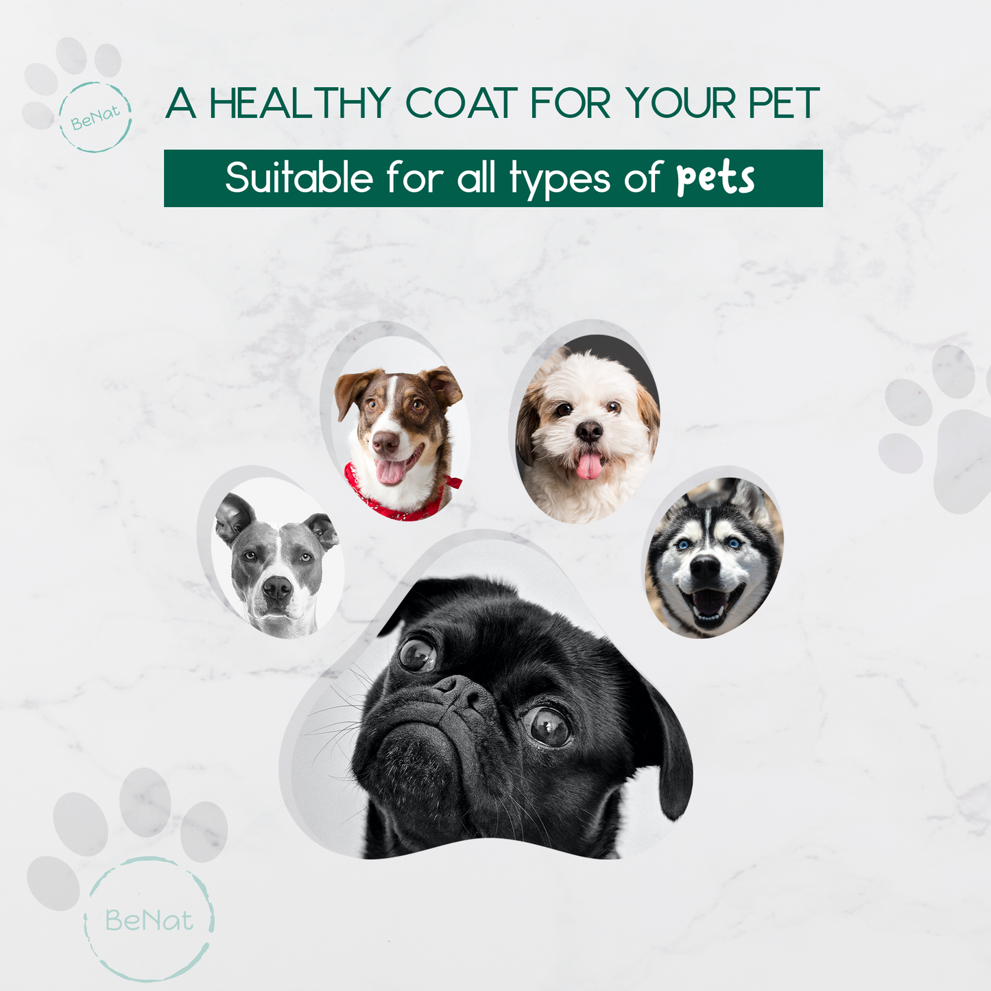 BENAT PETS ALL-NATURAL PET SHAMPOO BAR OAT 5.8 OZ