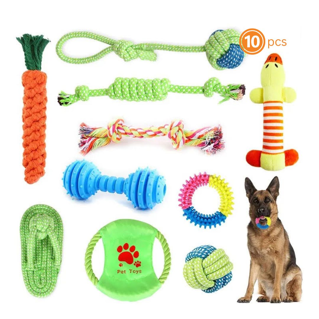 10 PCS BITE-RESISTANT MOLAR DOG TOYS