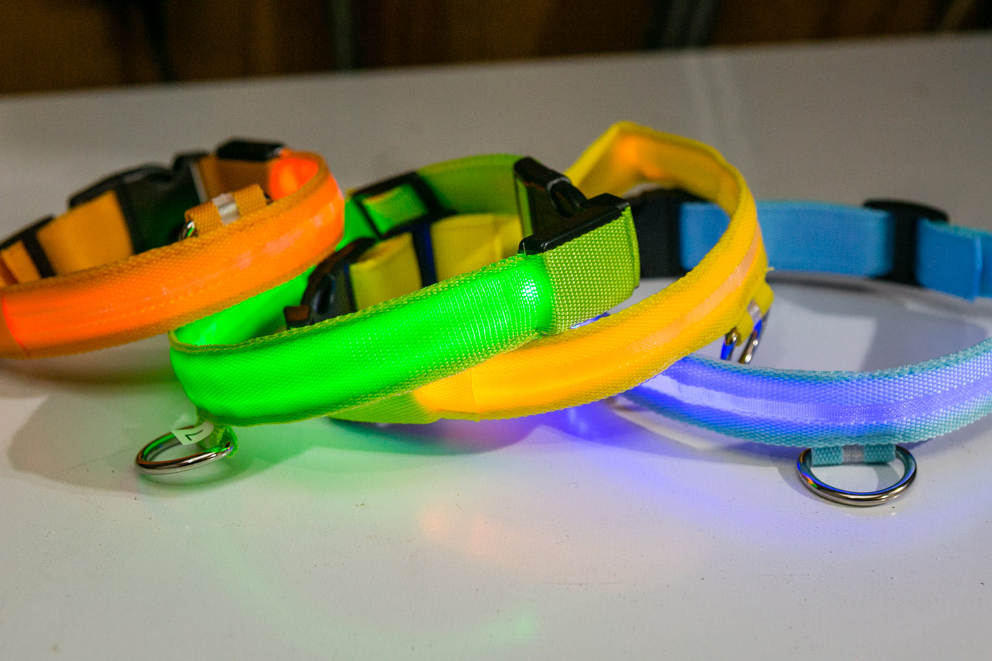 USB RECHARGEABLE LED DOG COLLAR