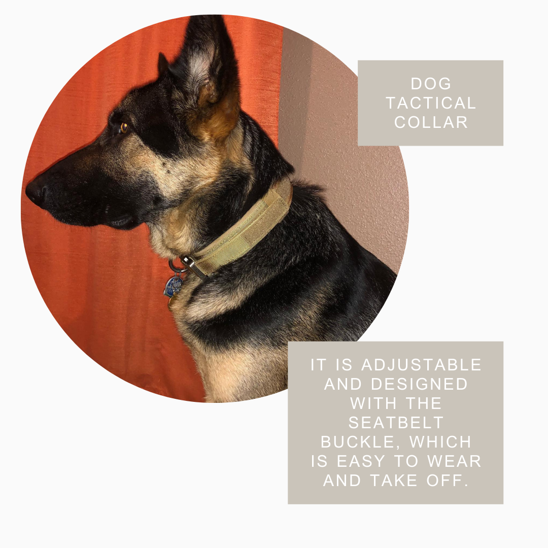 DURABLE MILITARY TACTICAL DOG COLLAR