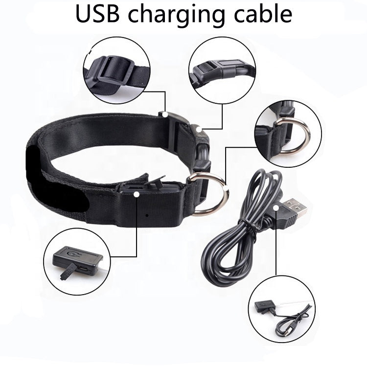 USB RECHARGEABLE LED DOG COLLAR