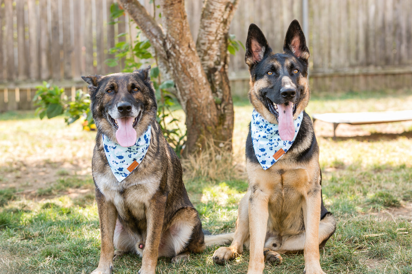ADJUSTABLE DOG BANDANA