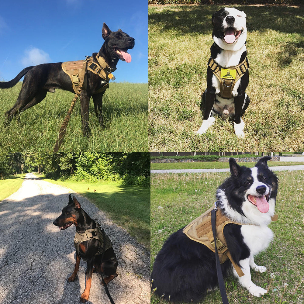 MILITARY DOG TACTICAL HARNESS AND LEASH SET