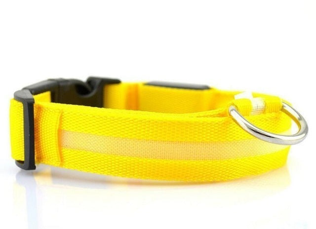 USB RECHARGEABLE LED DOG COLLAR