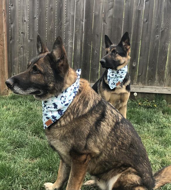 ADJUSTABLE DOG BANDANA