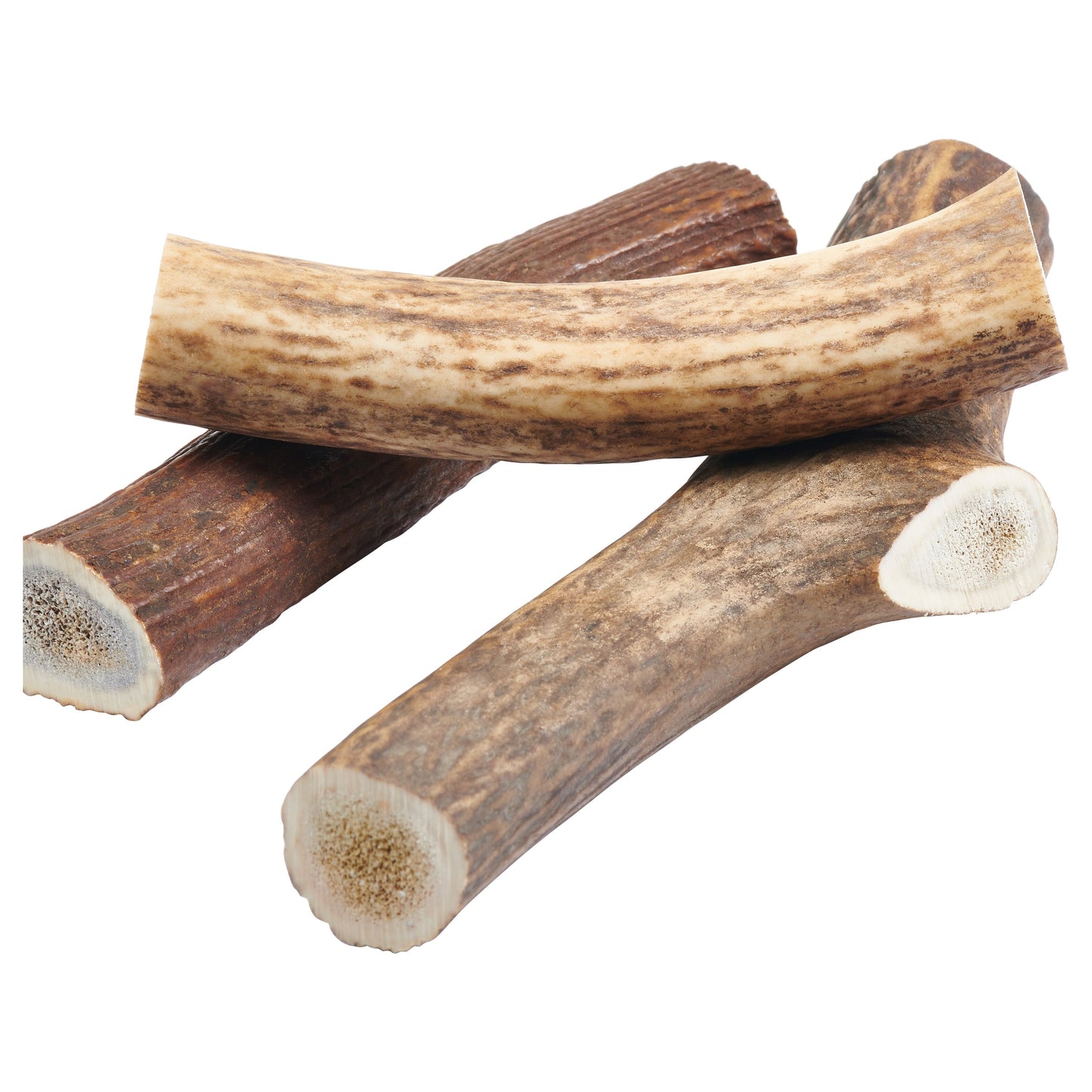 WHOLE ELK ANTLER DOG CHEWS