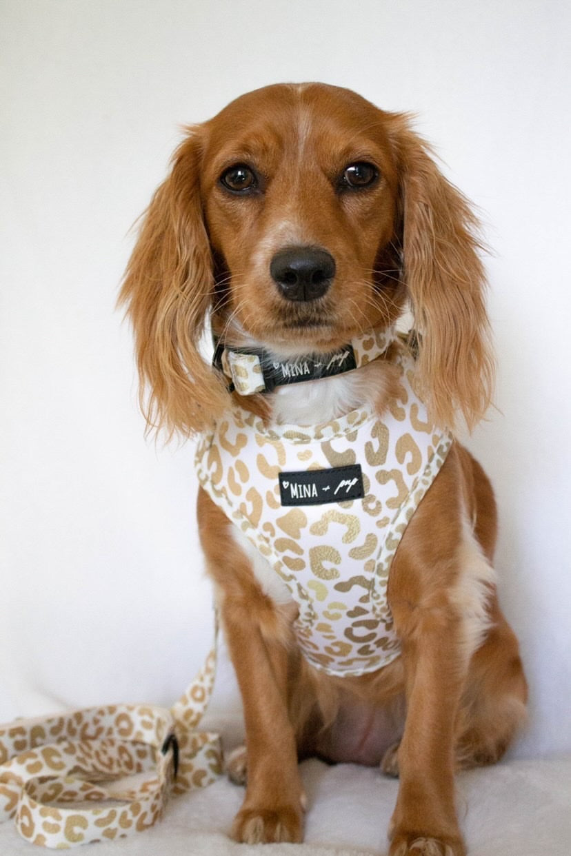 "YOU'RE SO GOLDEN" ADJUSTABLE HARNESS