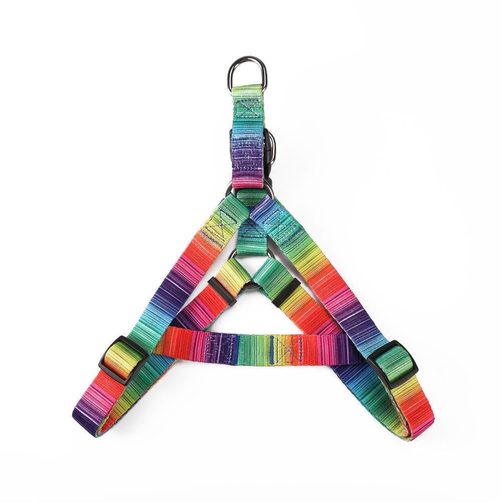 MATCHING LEASH & COLLARS SET