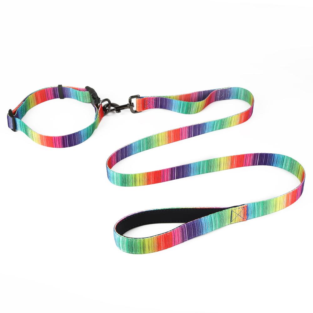 MATCHING LEASH & COLLARS SET