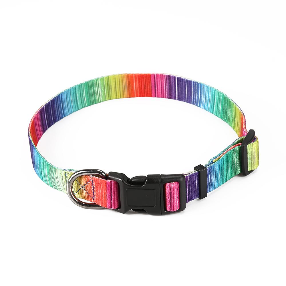 MATCHING LEASH & COLLARS SET
