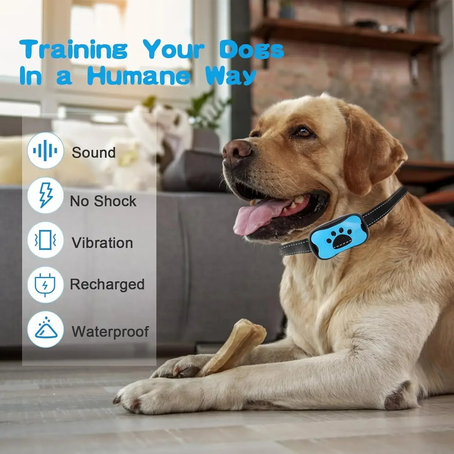 PET-FRIENDLY ANTI-BARK DOG TRAINING COLLAR